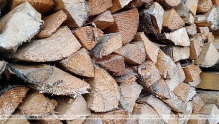 Белорусы с 1 октября 2026 года смогут заказывать дрова онлайн