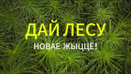 Акция 
