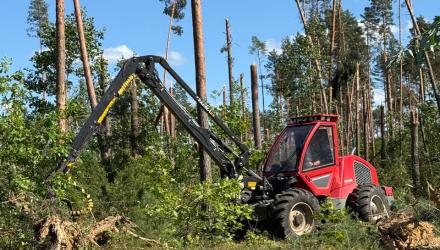 В Вилейском районе ликвидируют последствия разрушительного урагана