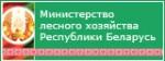 Министерство лесного хозяйства Республики Беларусь
